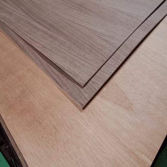 Fabricantes que venden silla de madera real silla mecedora silla para niños al por mayor (M-X3659)